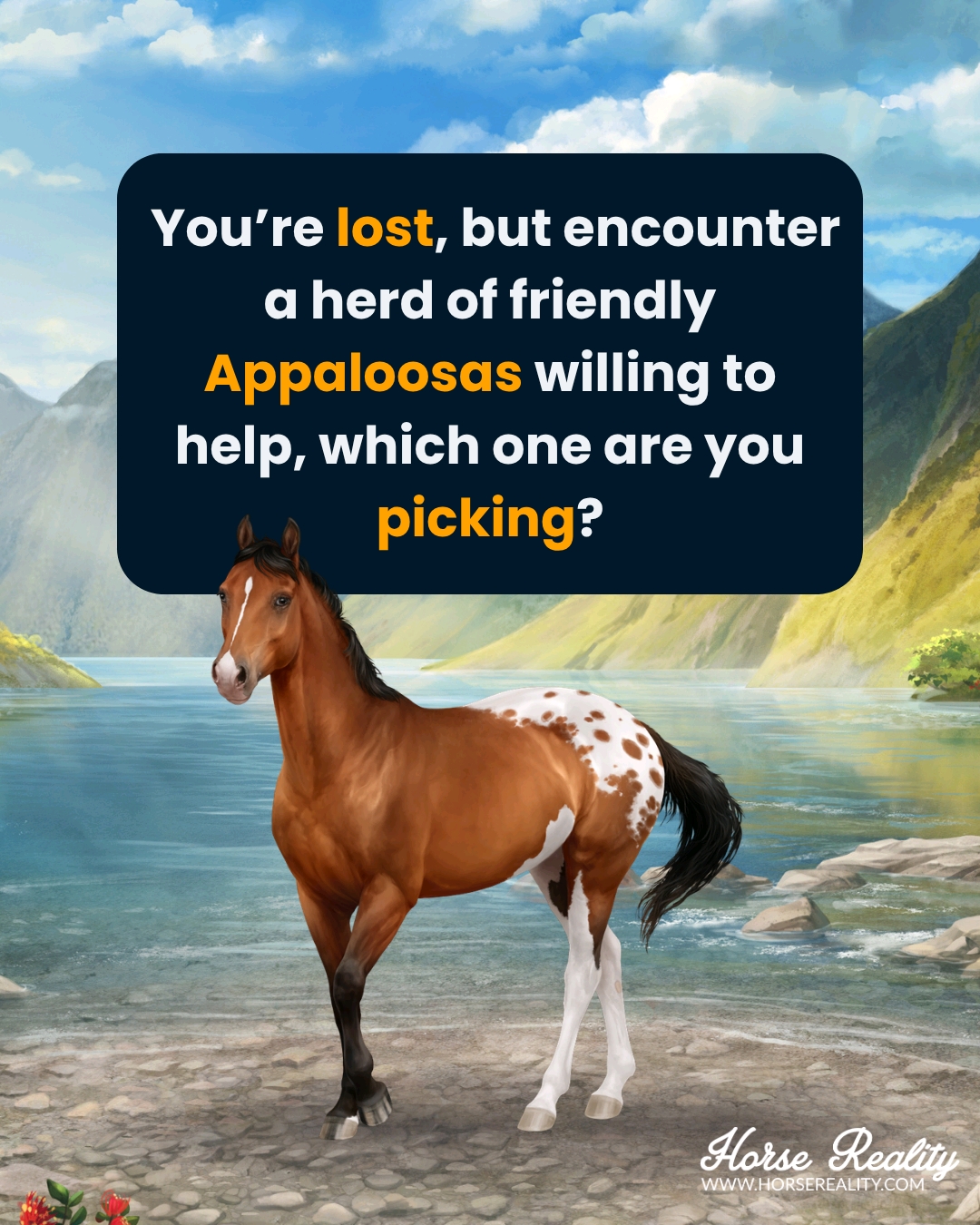 @Horse Reality