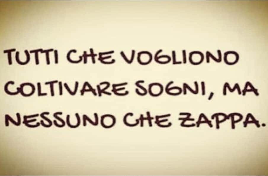 @cuccaro federica