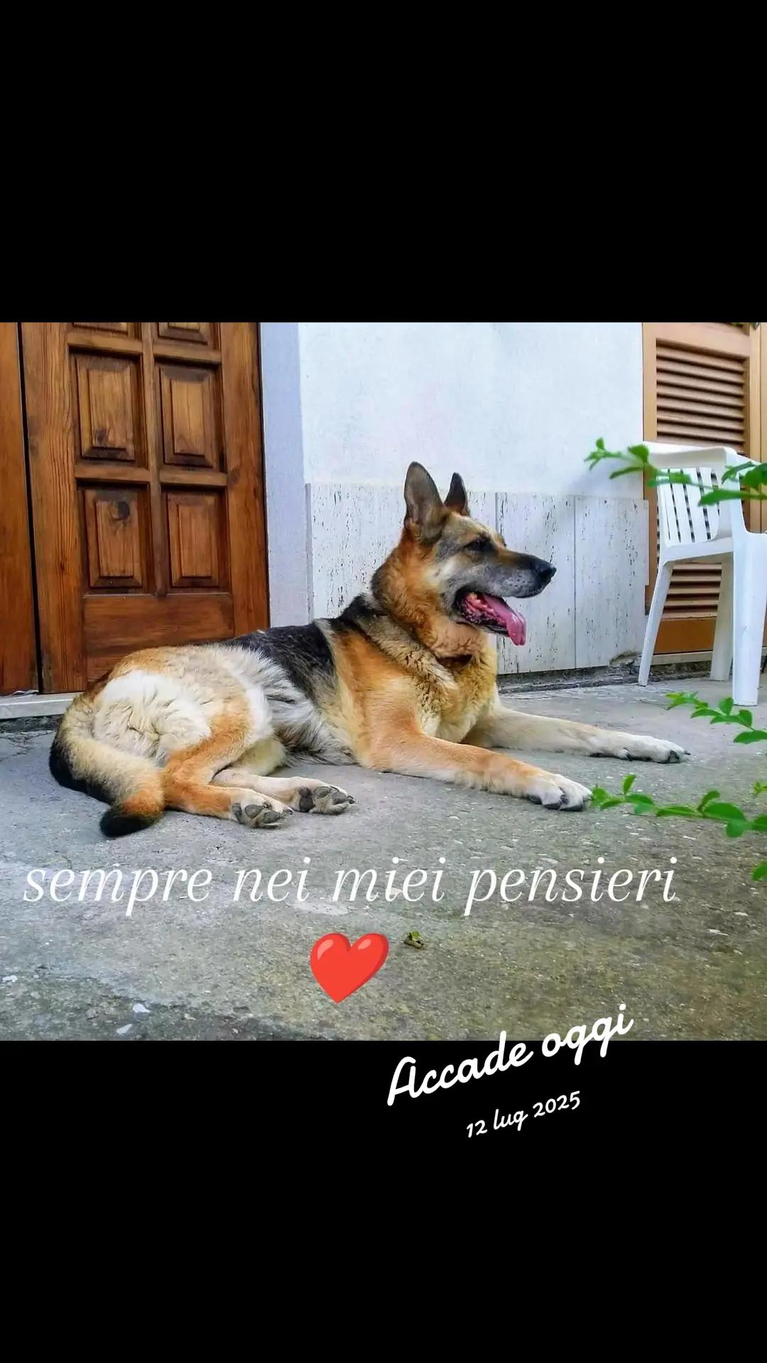 @Mari Dis