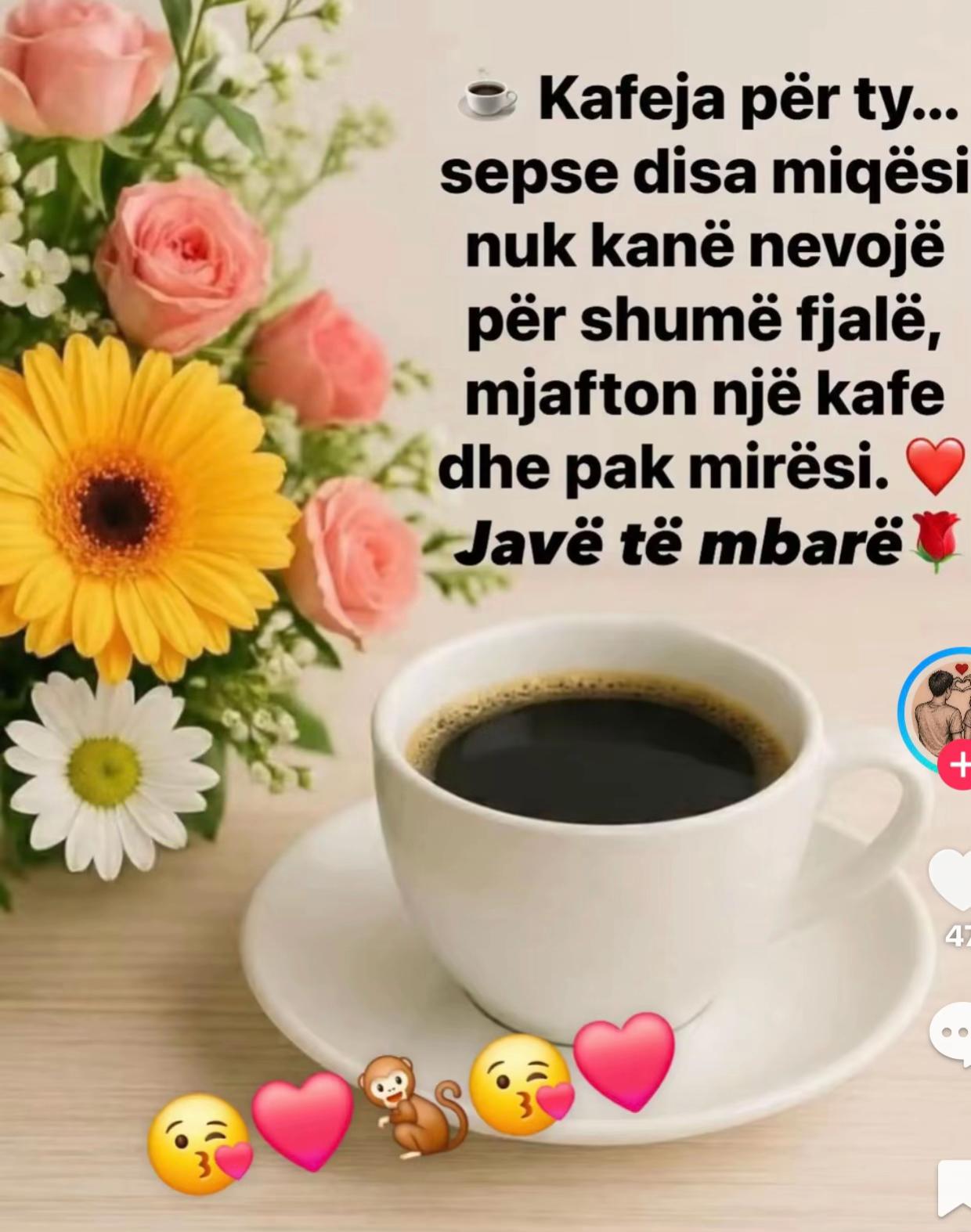 @ajo goca