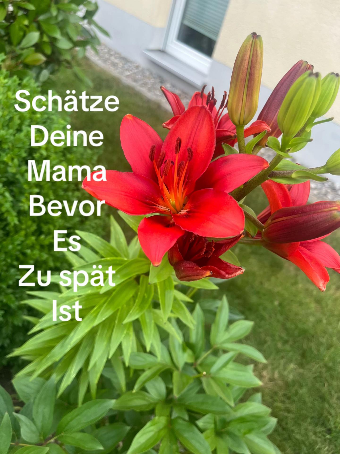 @krastavec