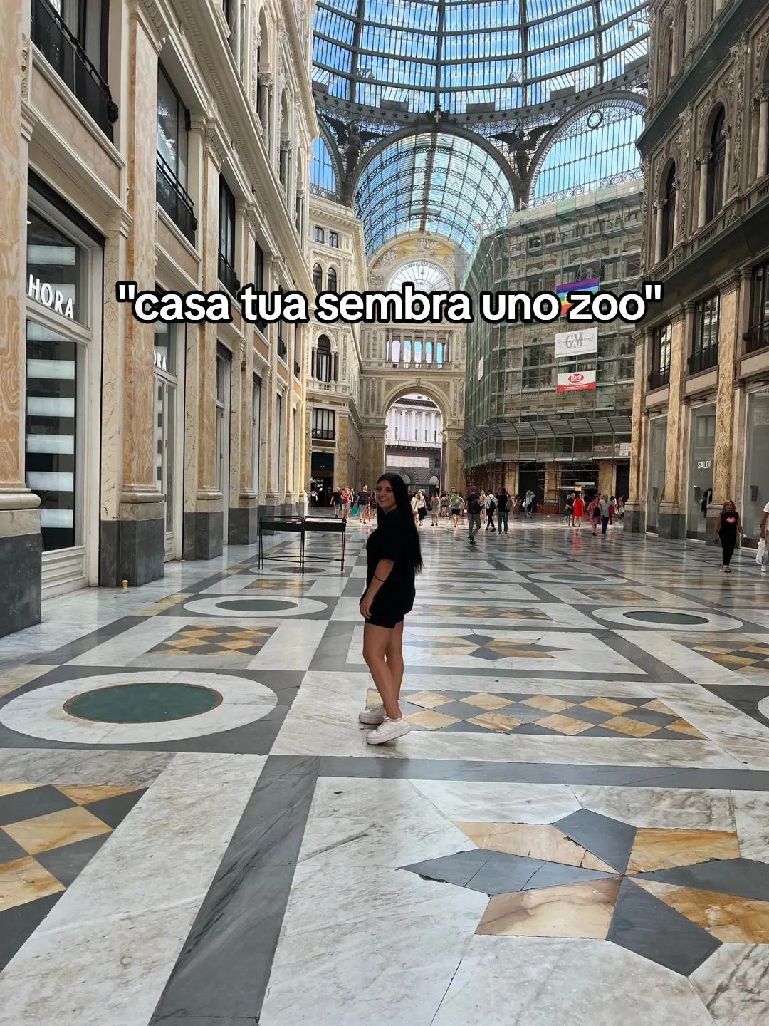 @𝓖𝓲𝓾𝓵𝓲𝓪🍃
