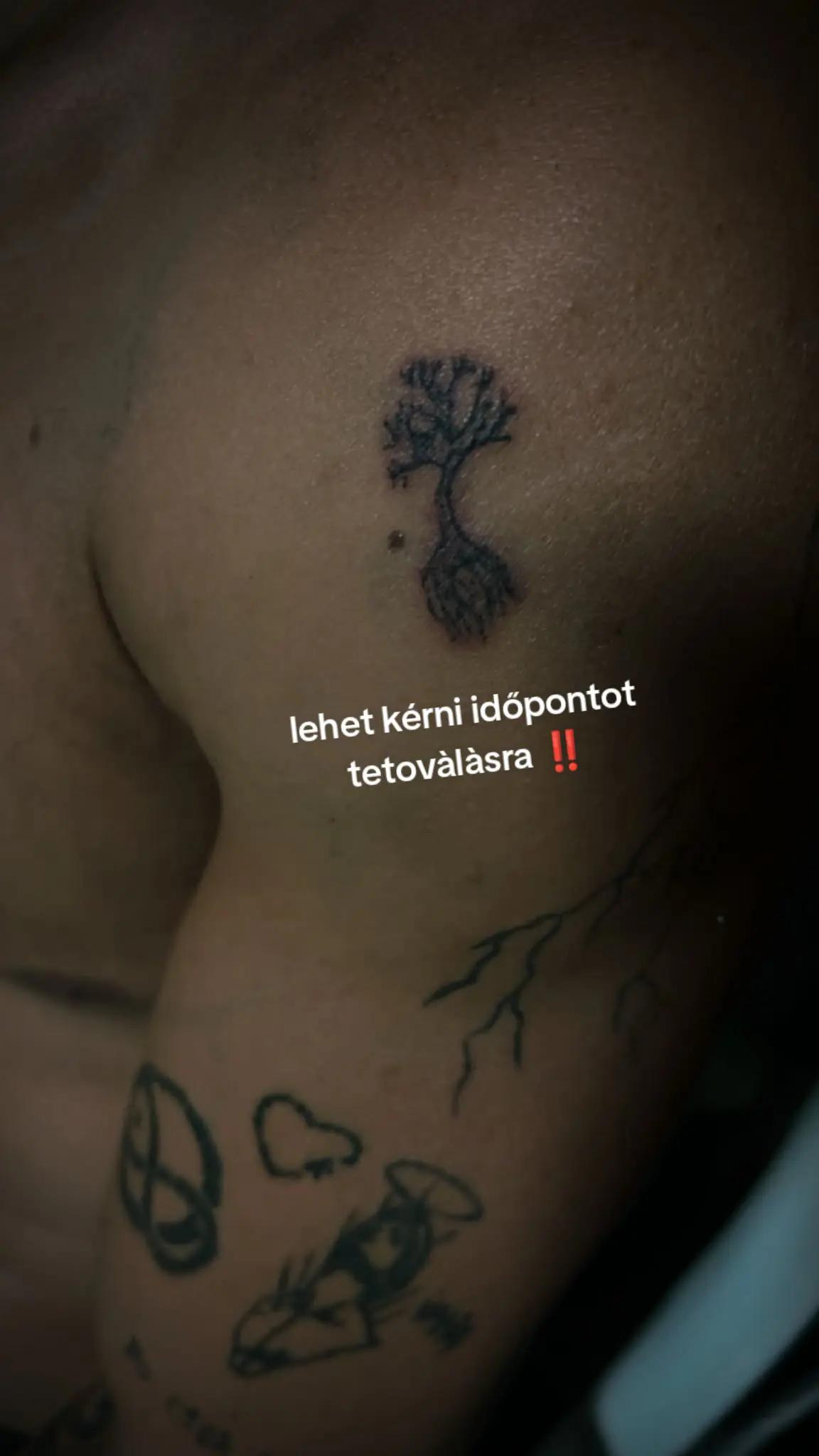 @kingaaaa