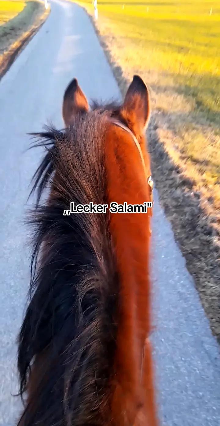 @🏇🏻❤️