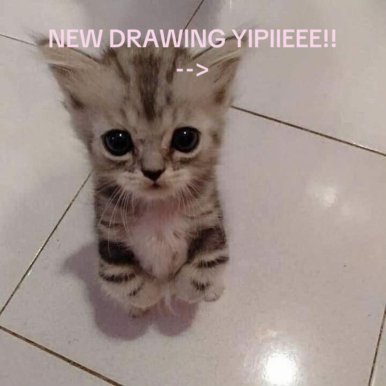 @˖ ֹ੭୧ 𝑨𝒍𝒆𝒙 ⊹ ࣪ ⑅