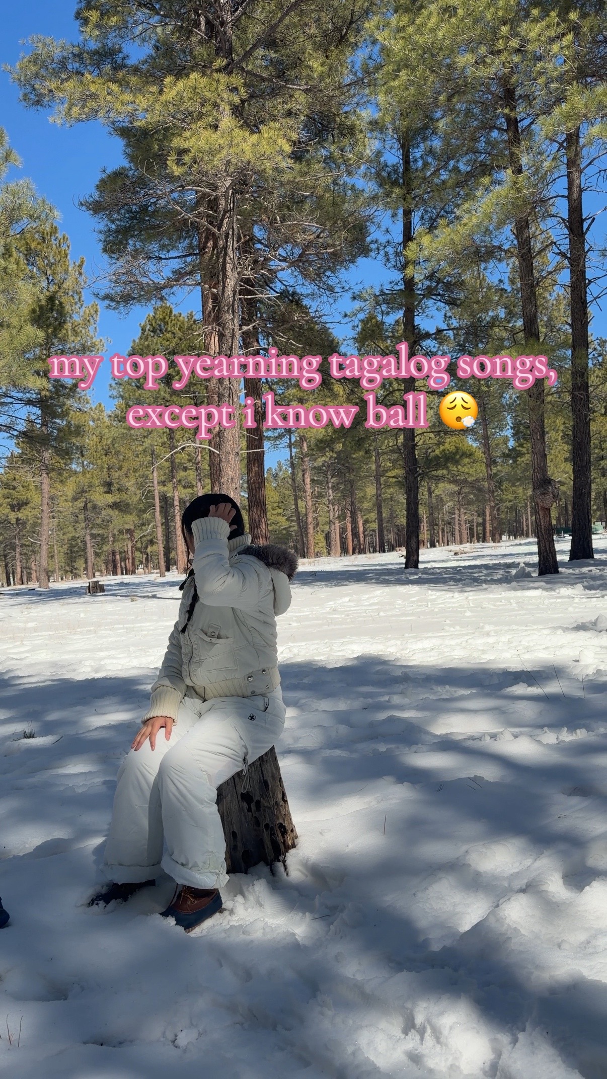 @˚˖𓍢ִ໋🦢˚