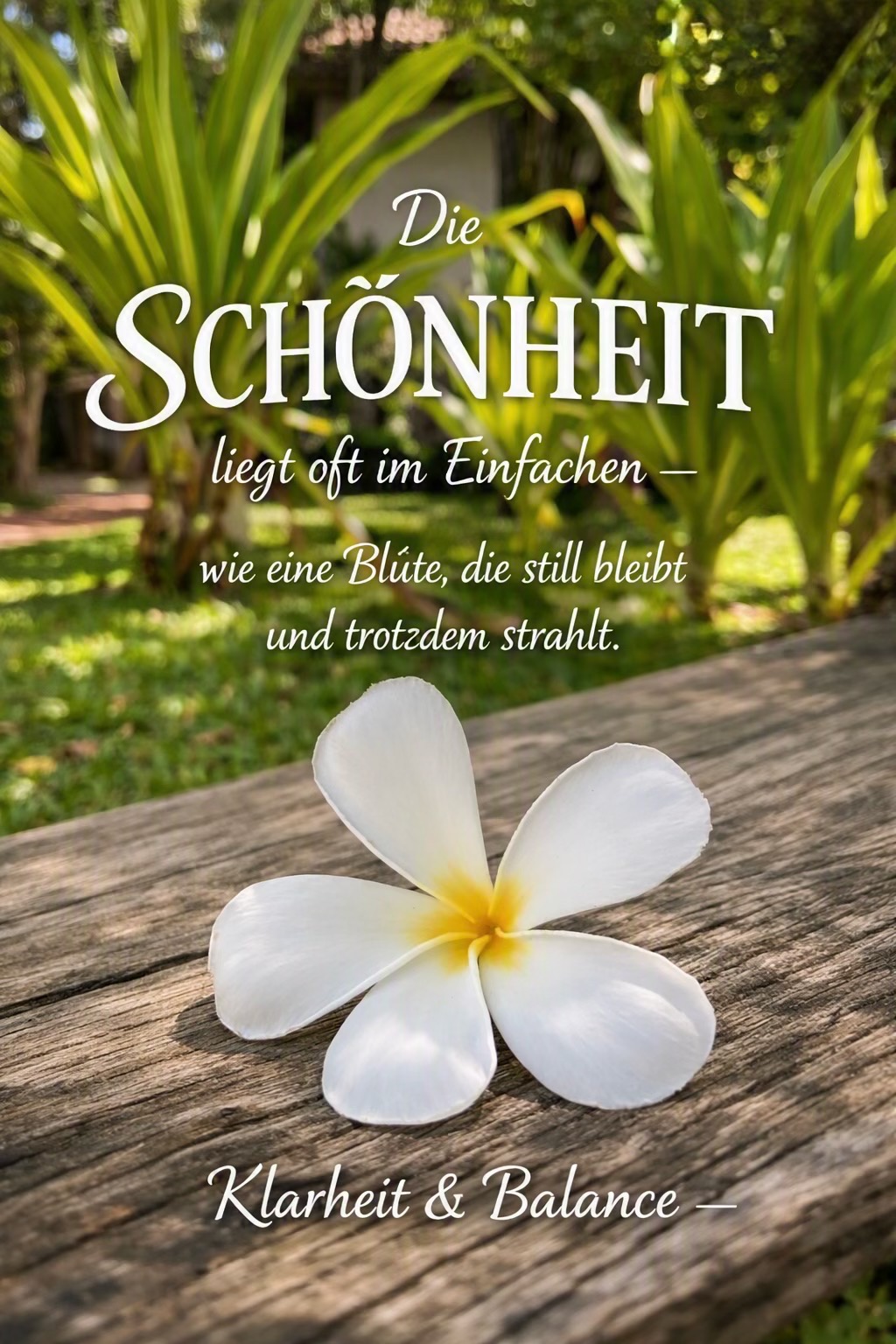 @Lily🇩🇪🇹🇭 ที่นี่มีกำลังใจ💕