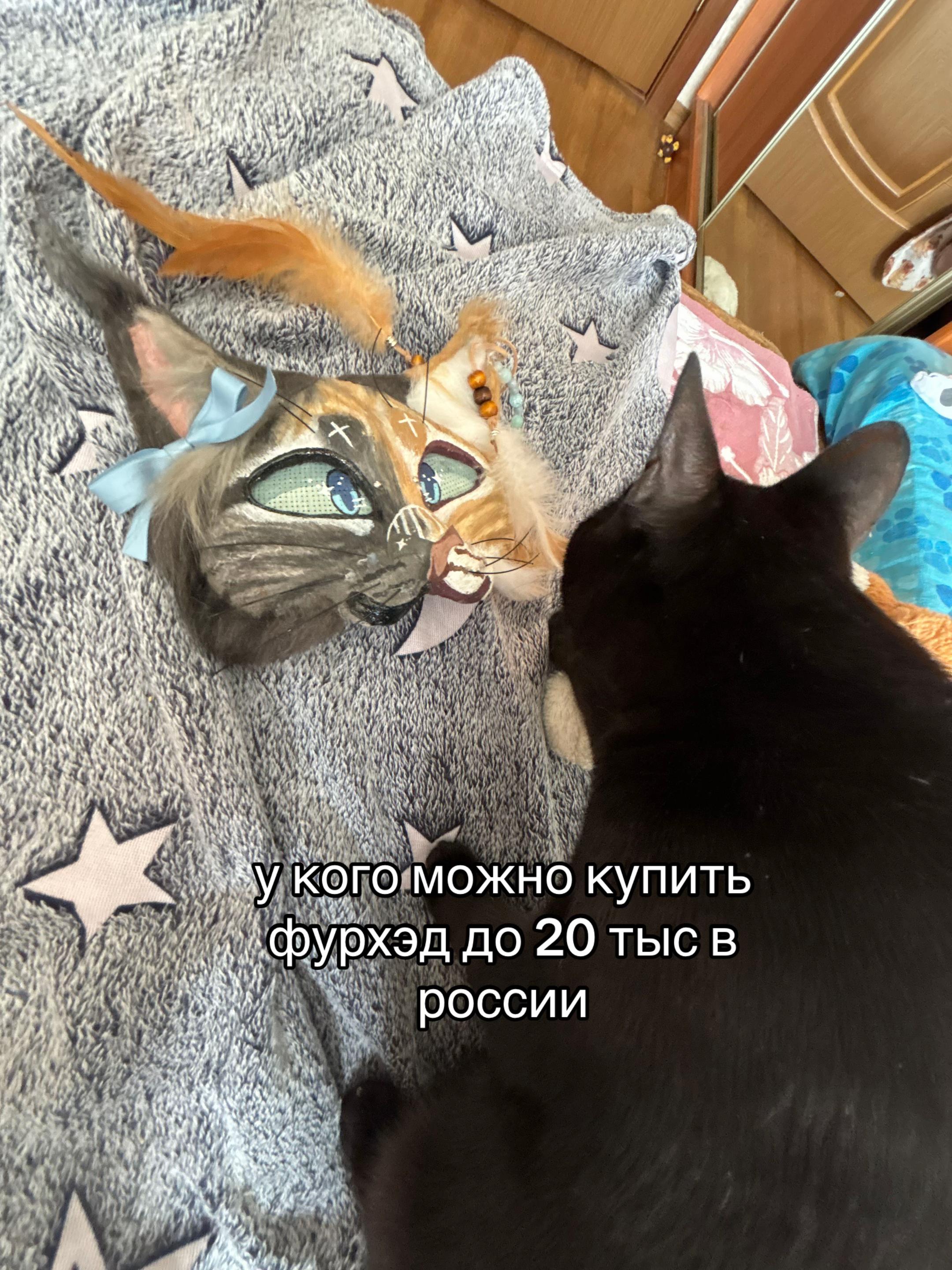 @qwiyyp