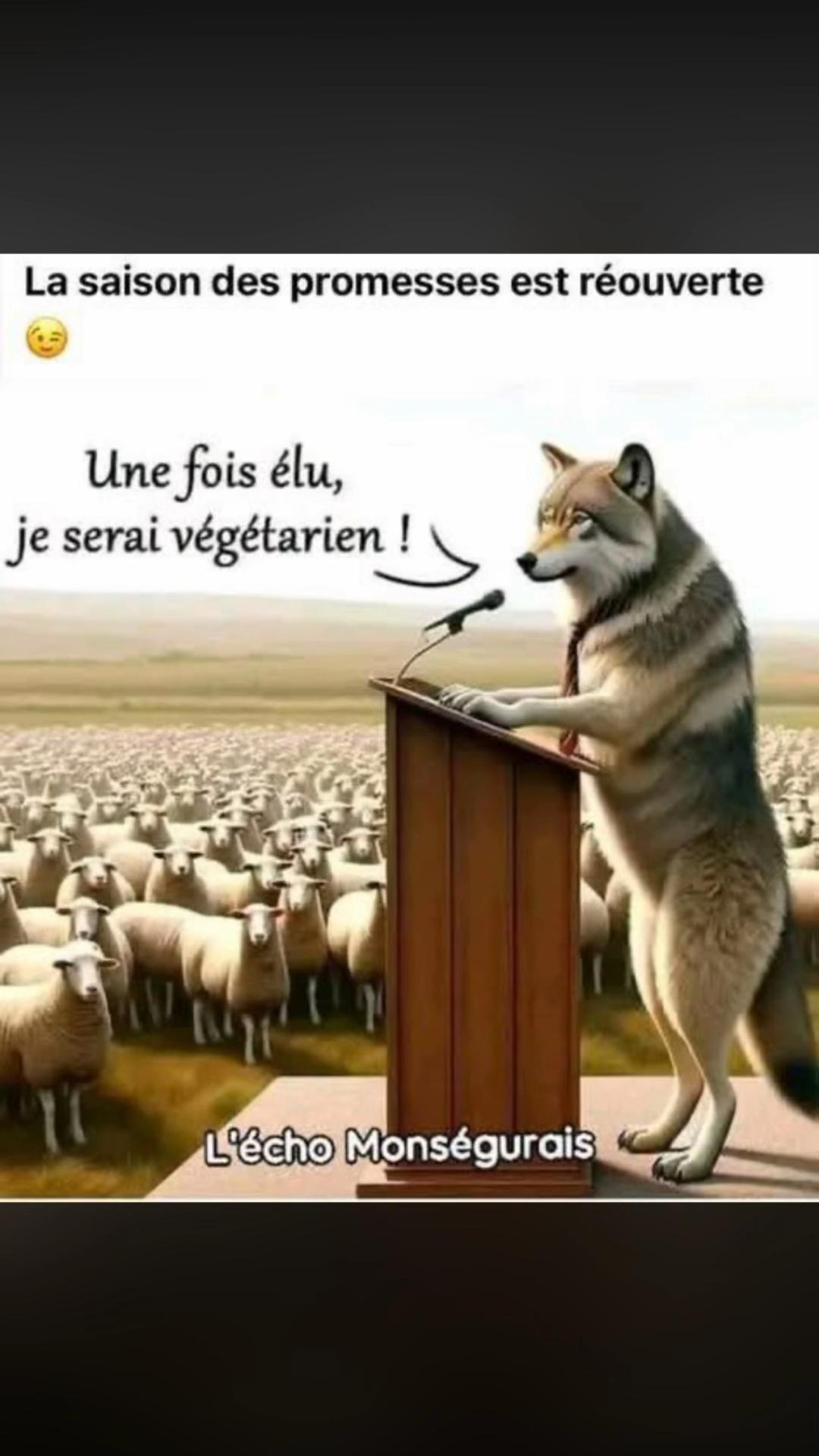 @stephanelevinternational