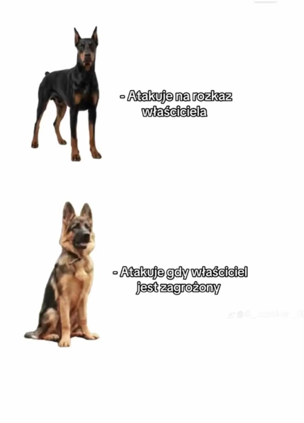 @@
