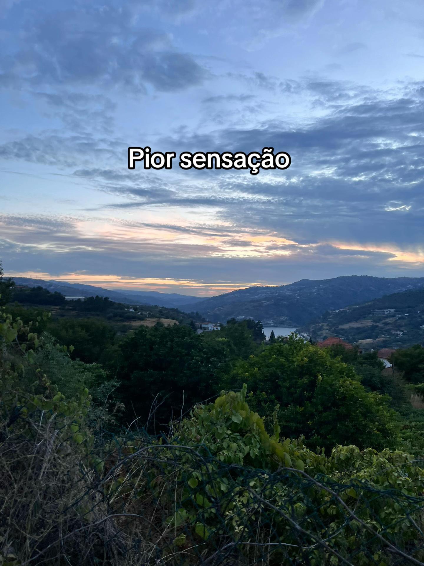 @Margarida Almeida