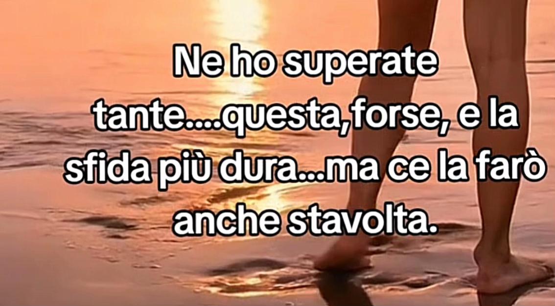 @claudiamorleo653