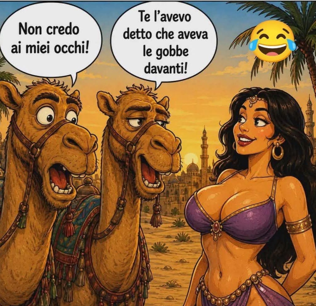 @marcospada743