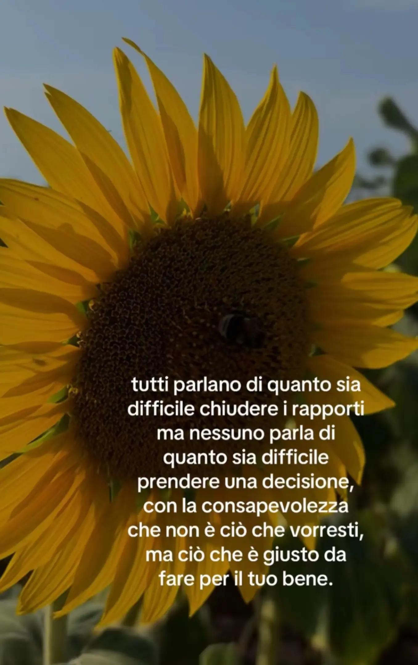 @MikelaPadalino💎