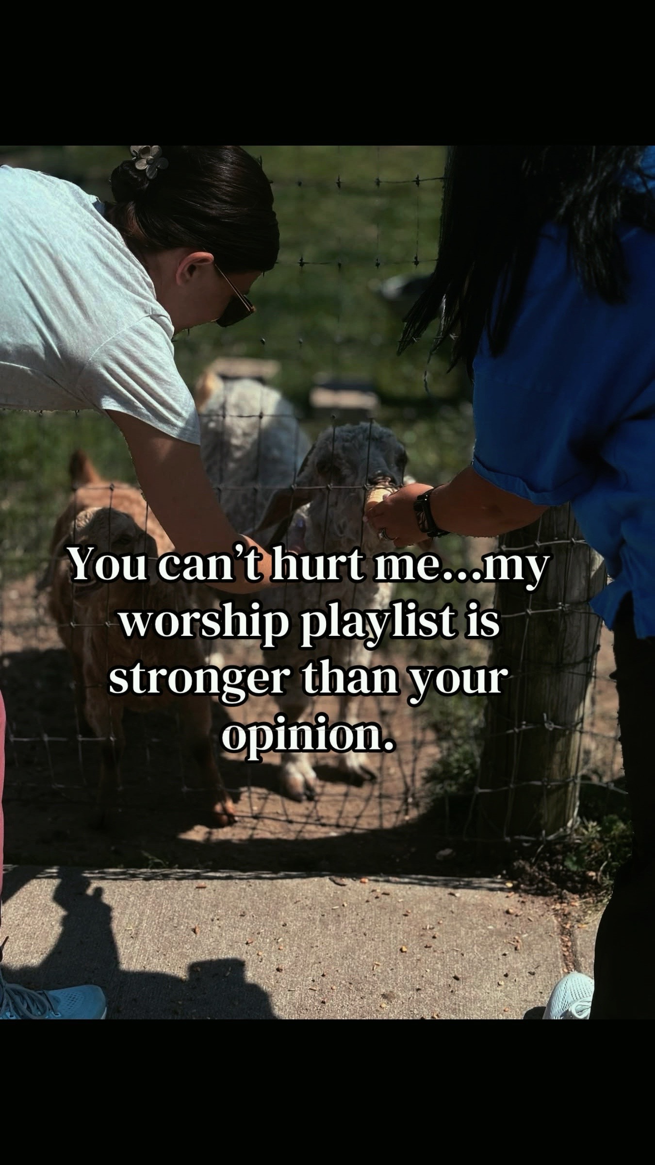 @Emily White Zrust