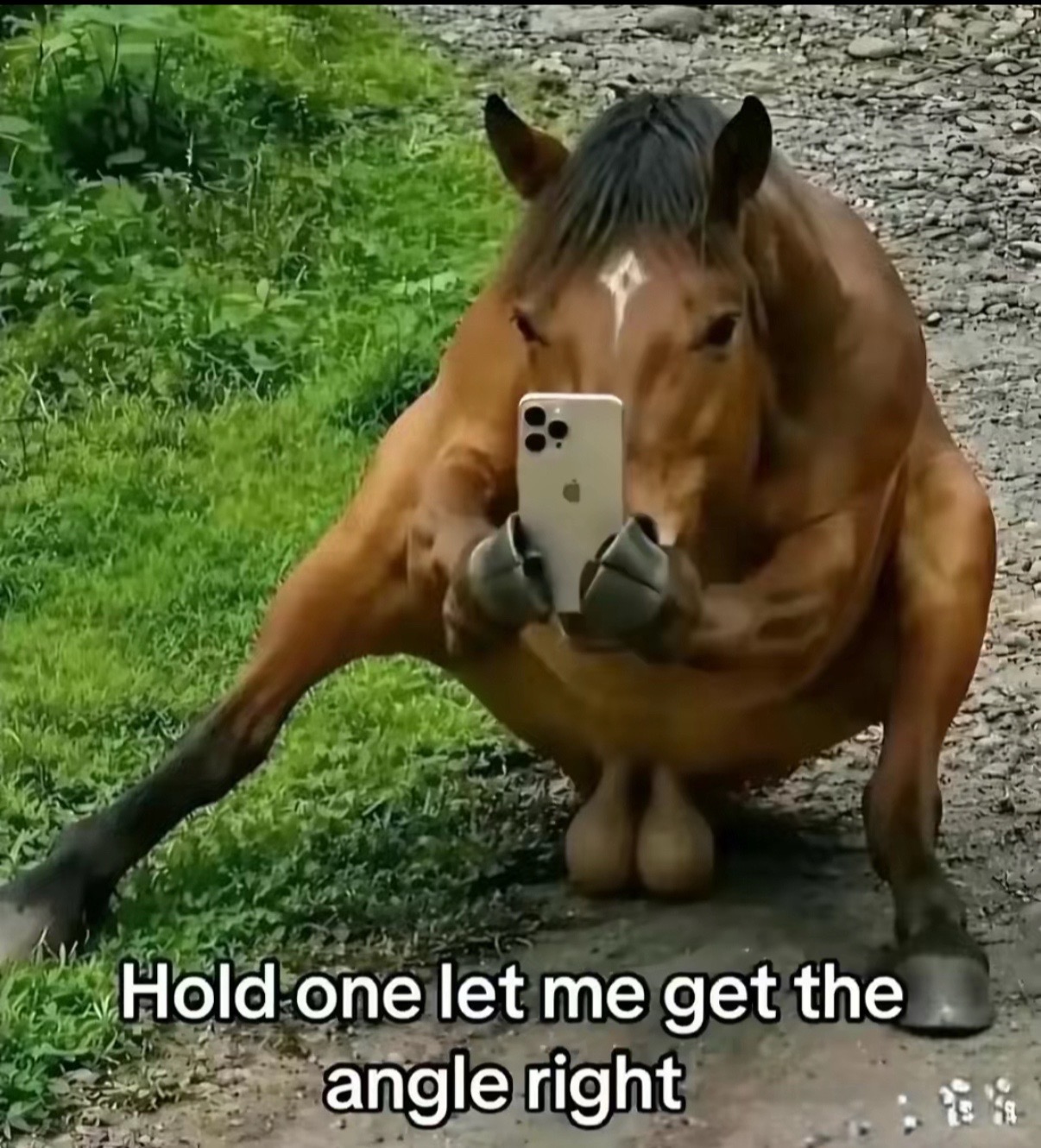 @Kai