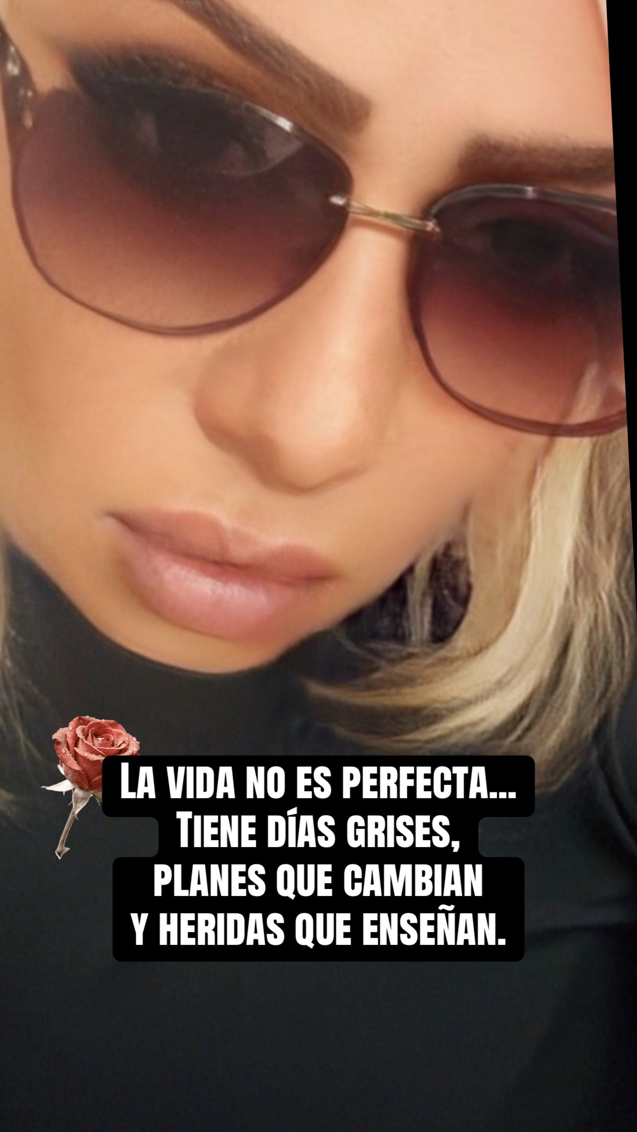 @marion Alvarado