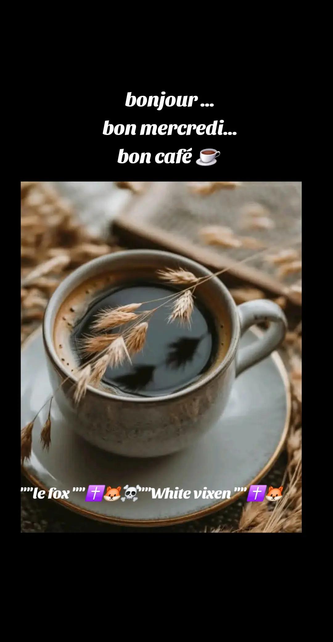 @🇫🇷Le fox✝️🦊☠️white vixen✝️