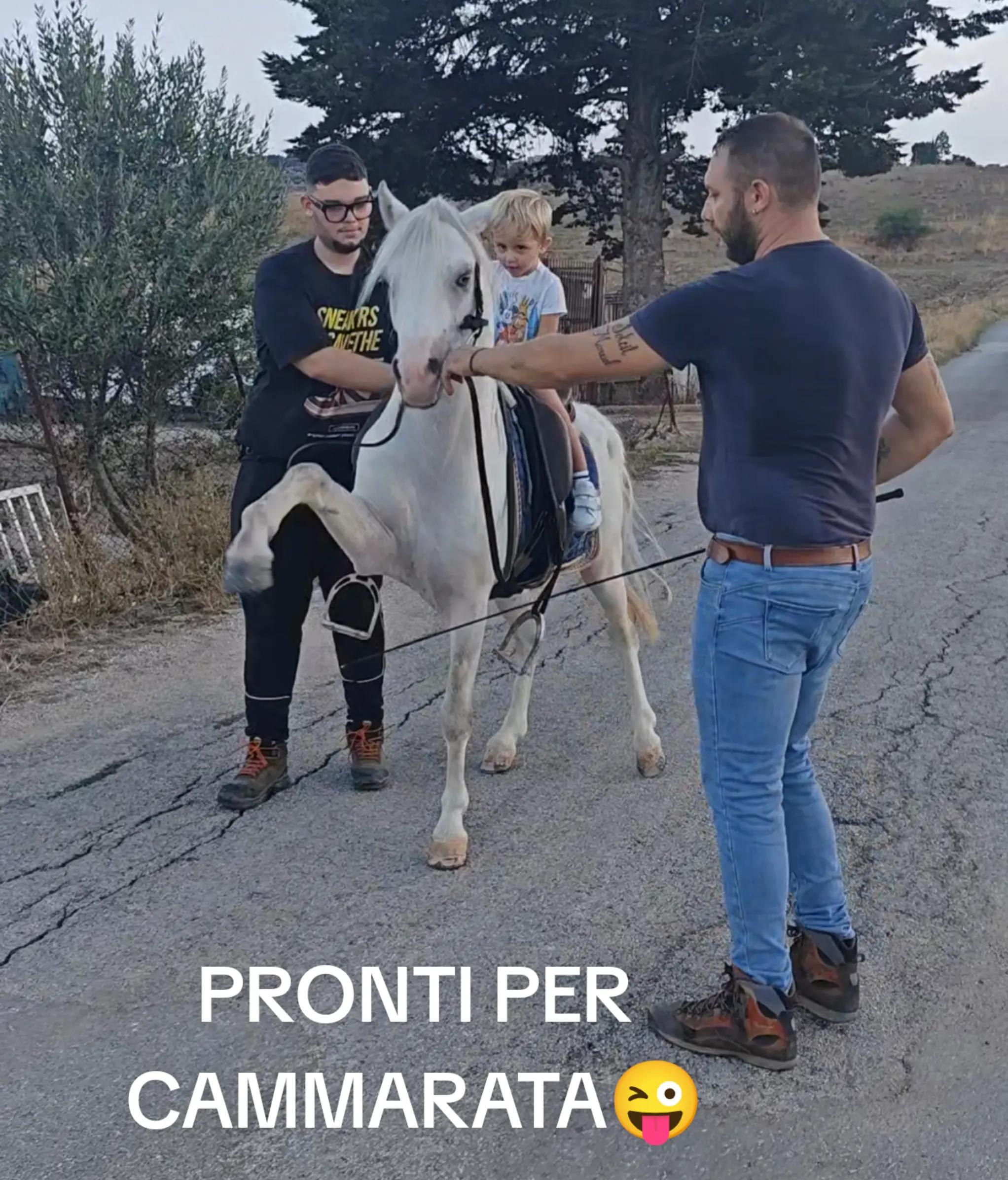 @pietrocanino