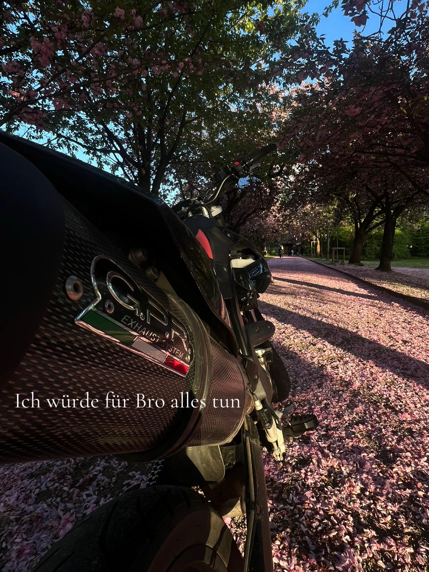 @𝟙𝟡𝟘𝟚