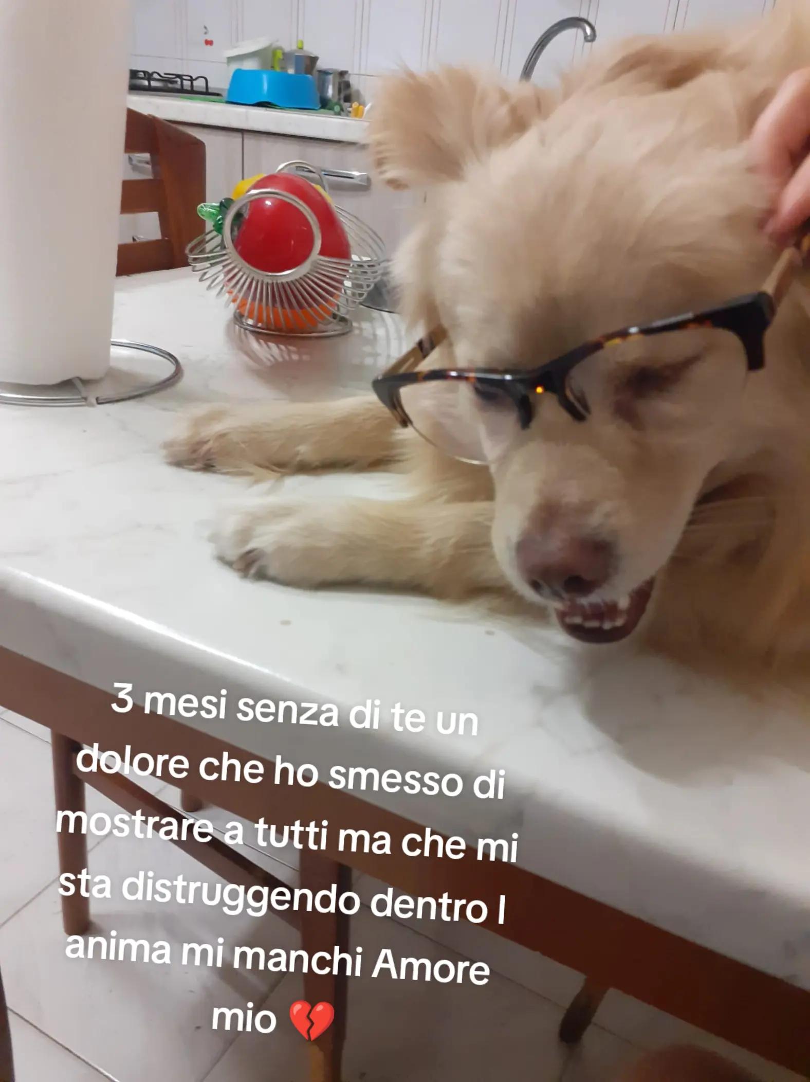 @Monica&Ale
