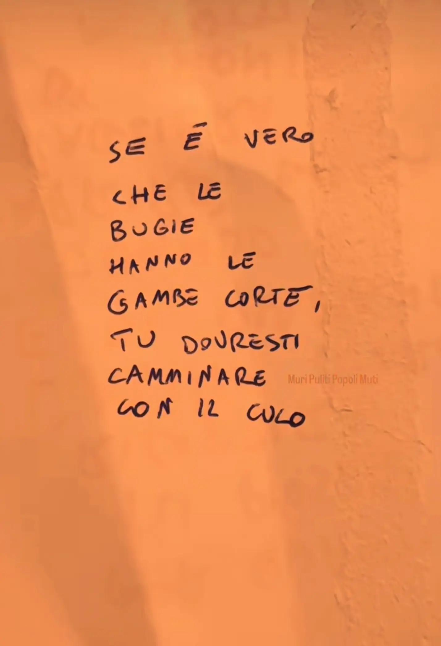 @grazia1817 ti segue