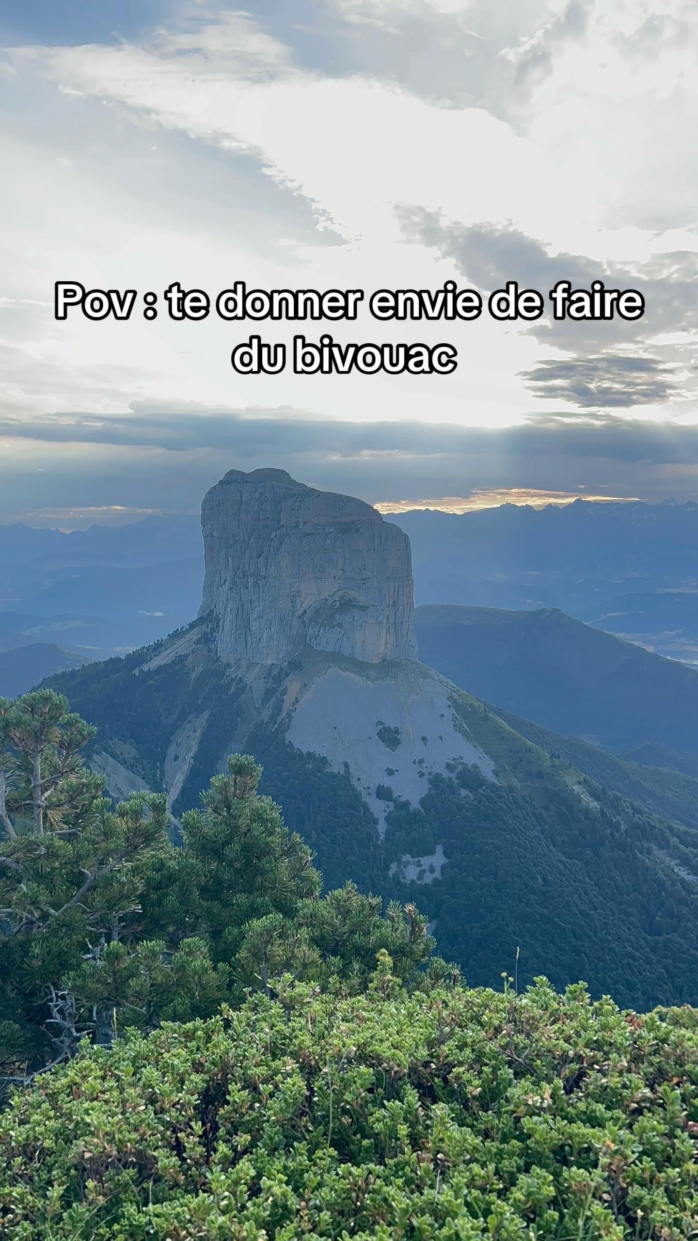 @leolmsl