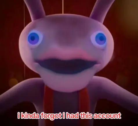 @Ms. Moon yorkie