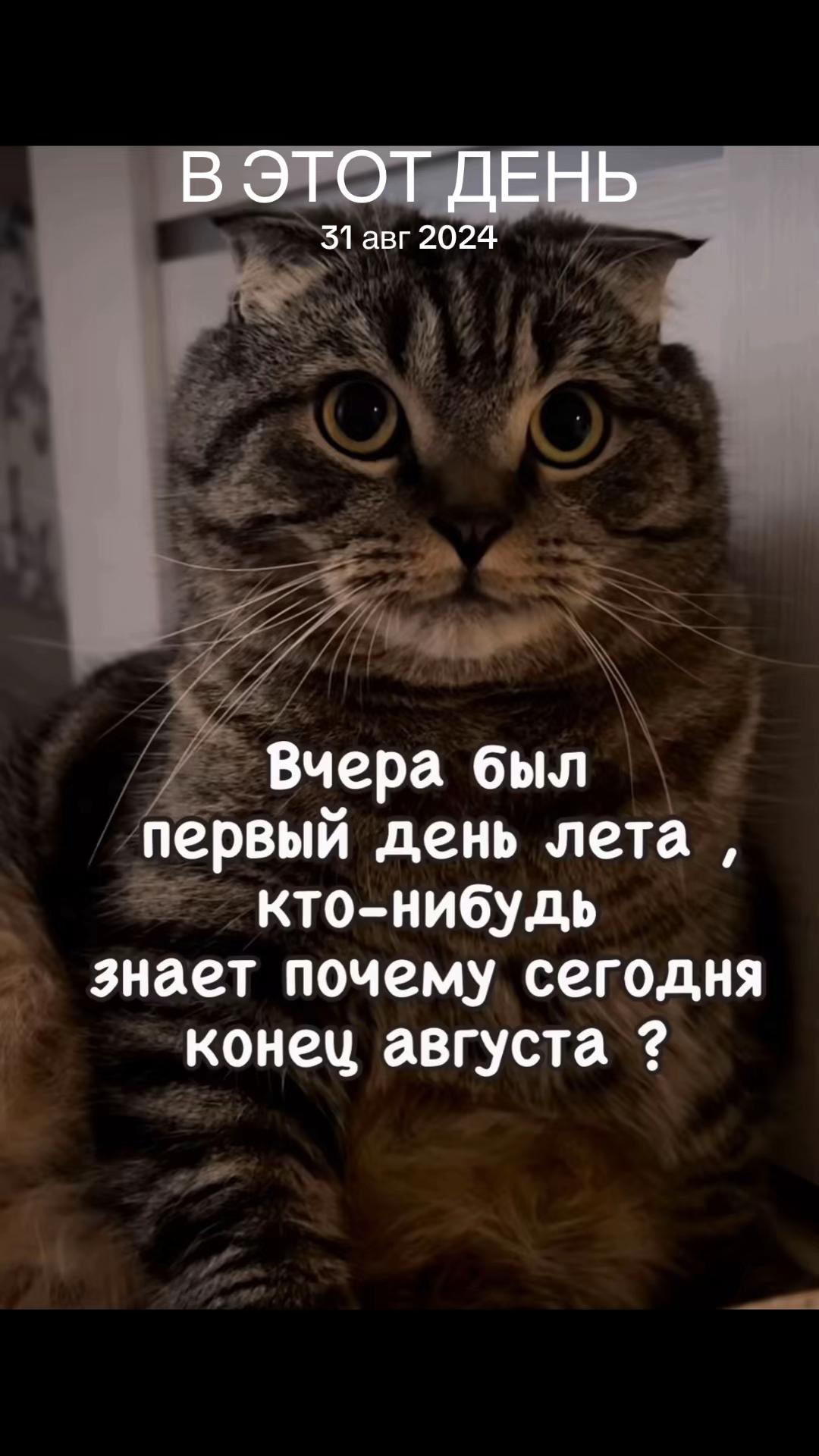 @Анна