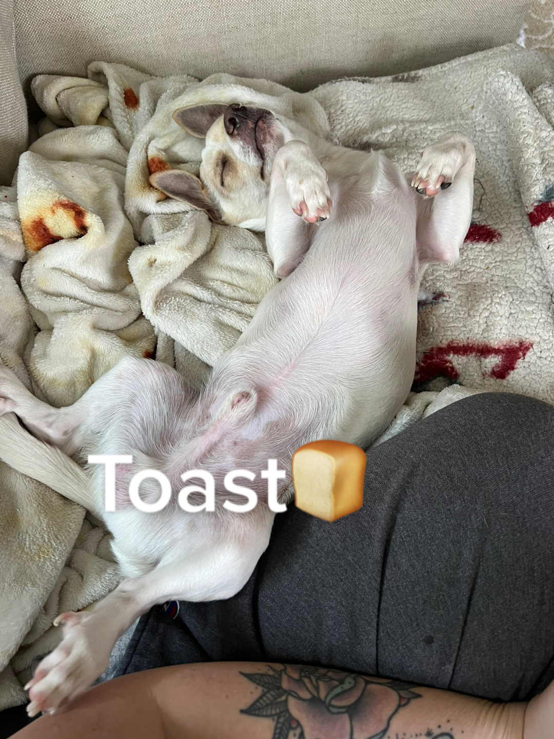 @BakedPotato