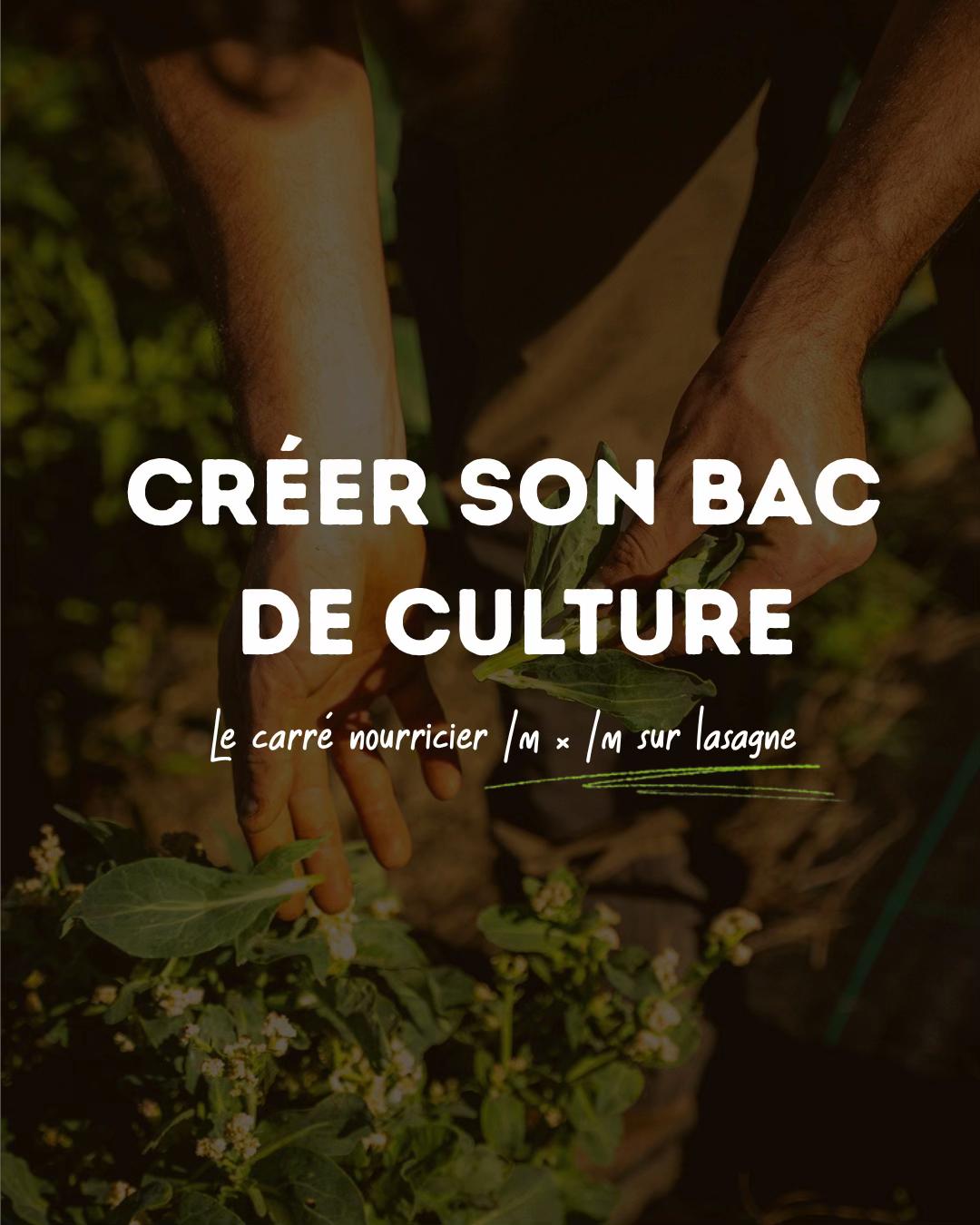 @Goran Le Permaculteur