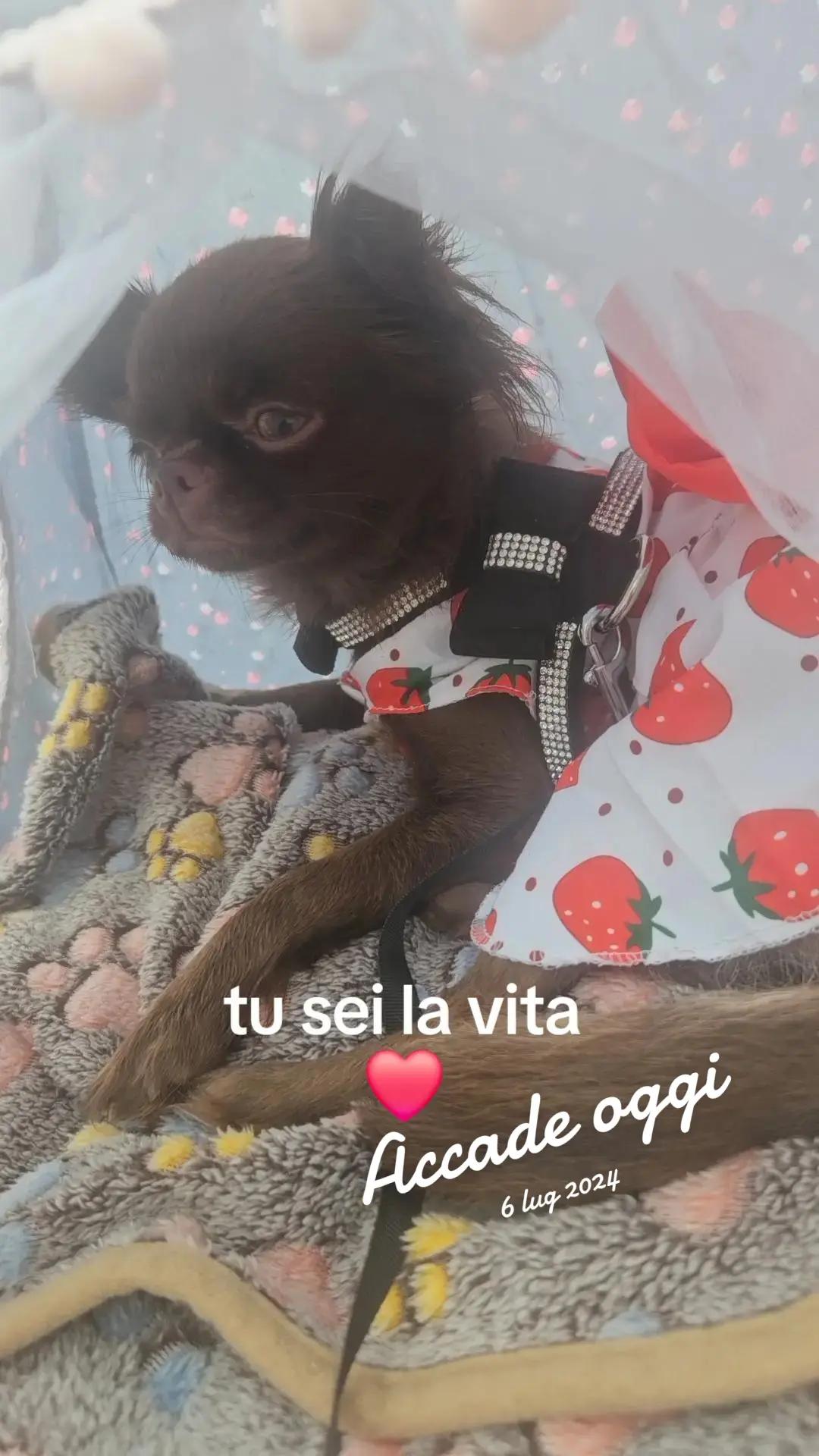 @ORIETTA