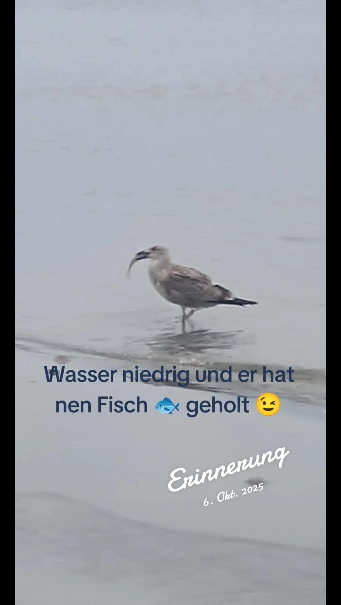 @Küsten Kind ๐๐๐