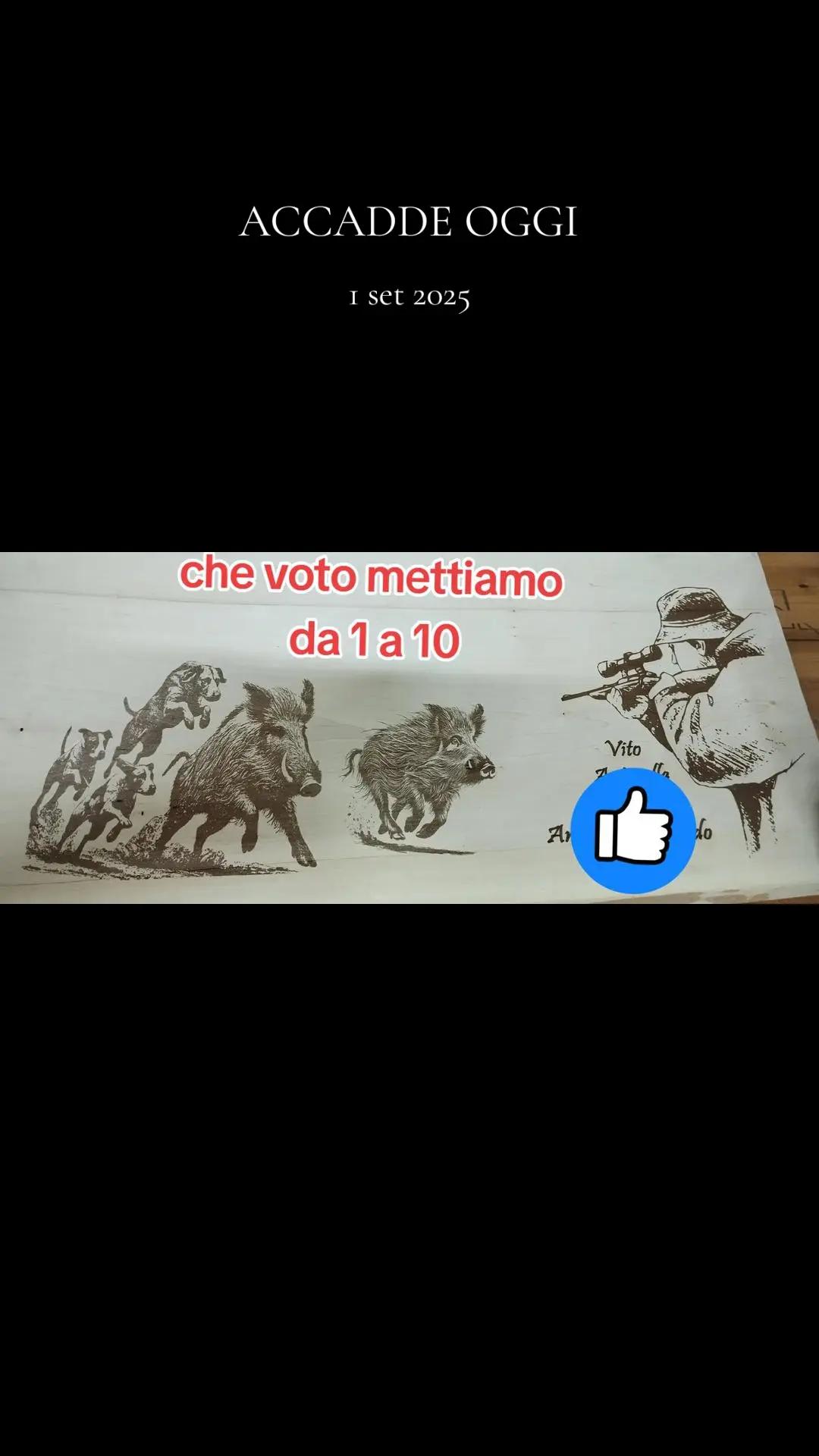 @il cinghiale di tiktok