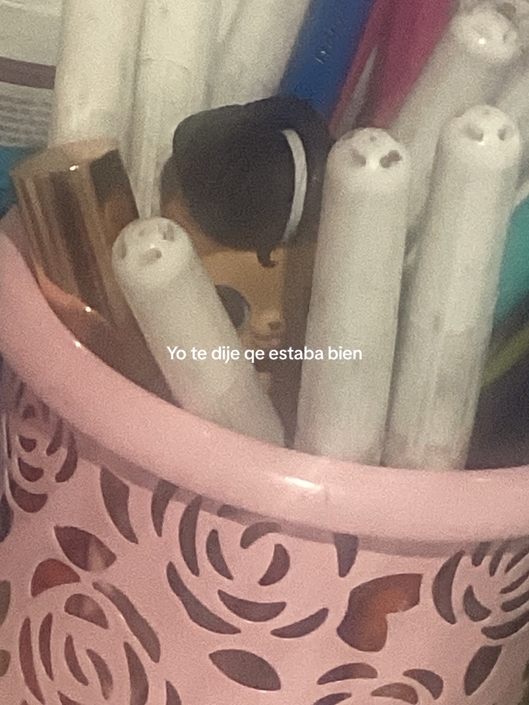 @🐰