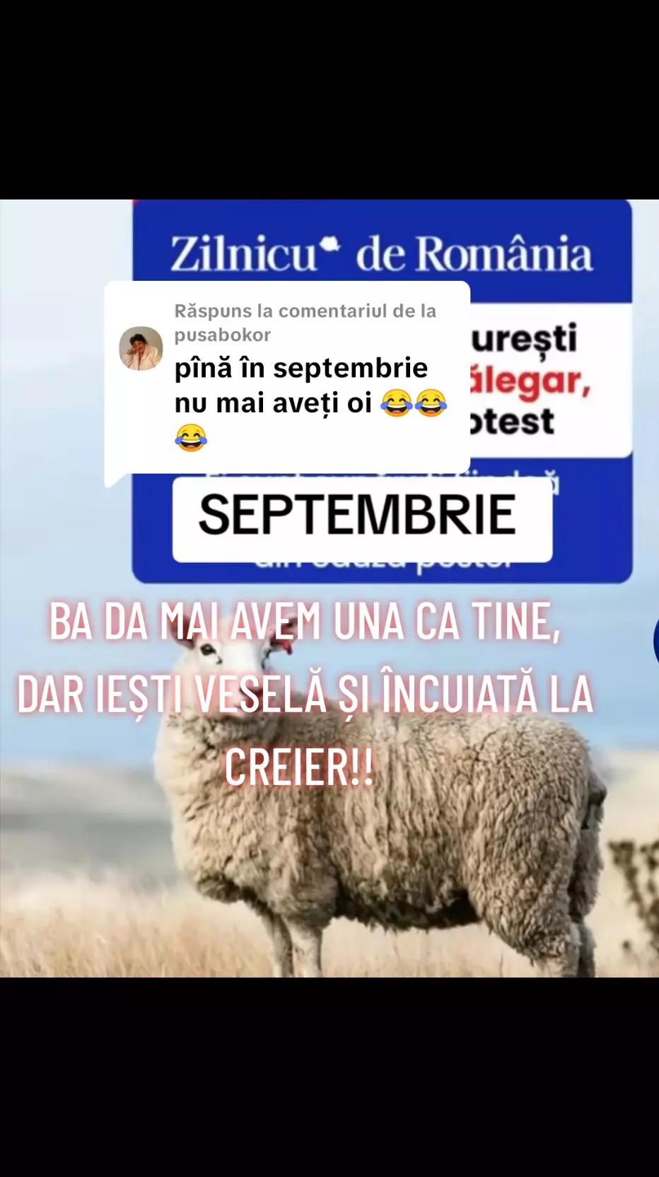 @Nina🇷🇴🤝❤️
