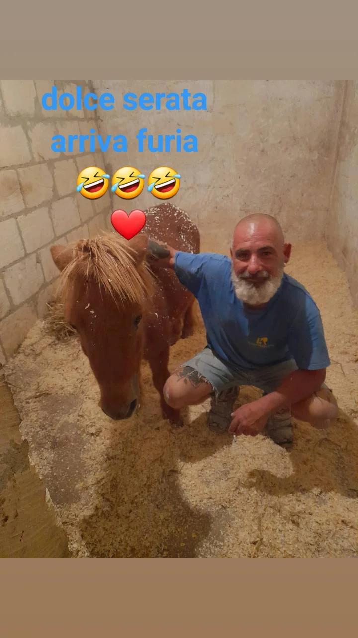 @Totó Di Rosa