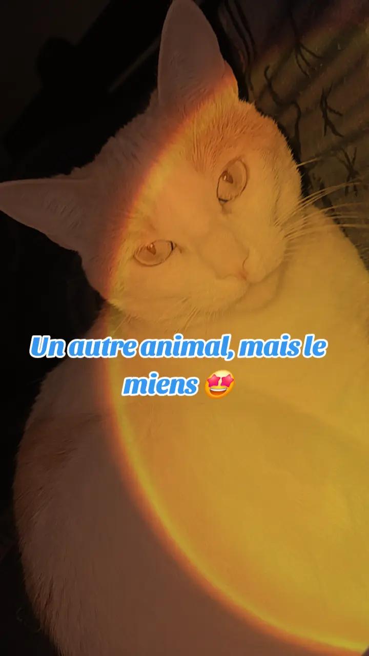 @RelaxMax_1990✌️😊🇫🇷