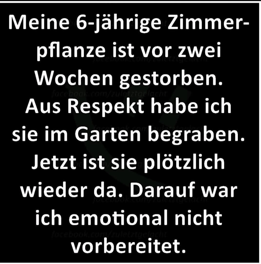 @DerMarder