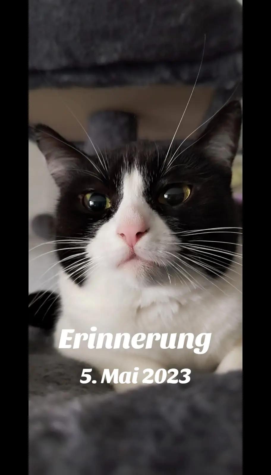 @🌹 süße Flocke 1382🌹
