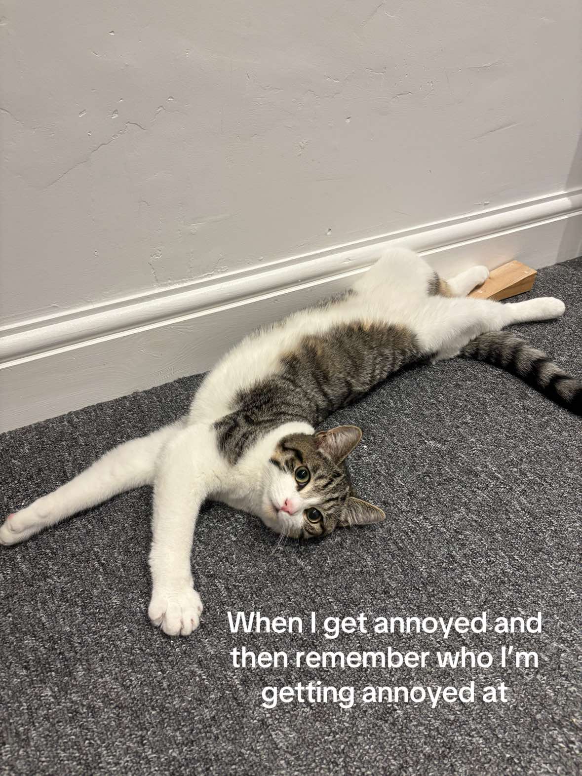 @Kiki