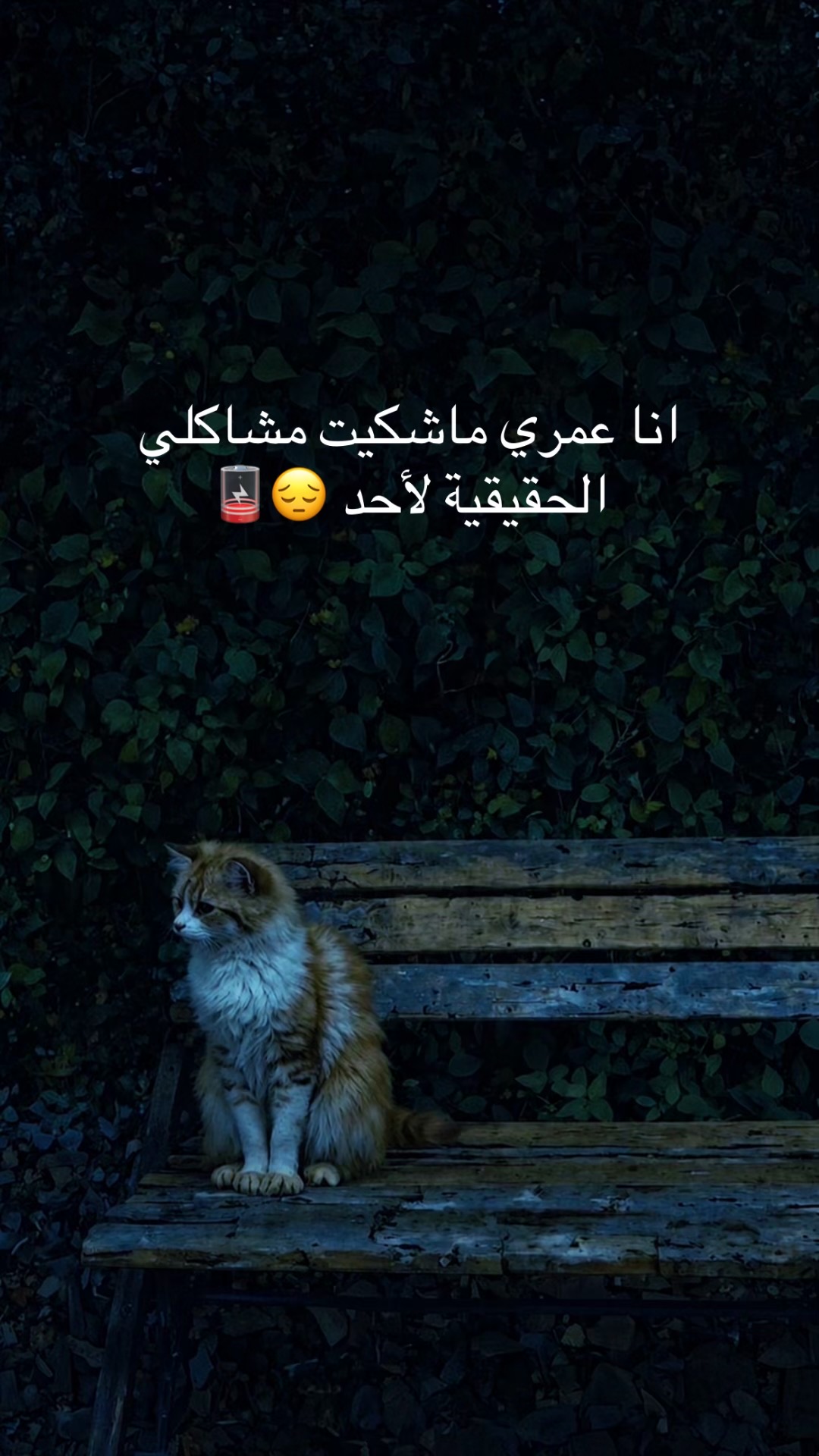 @𝙛𝙧𝙞𝙙𝙪𝙤𝙢  🥀❤️&zwj;🩹