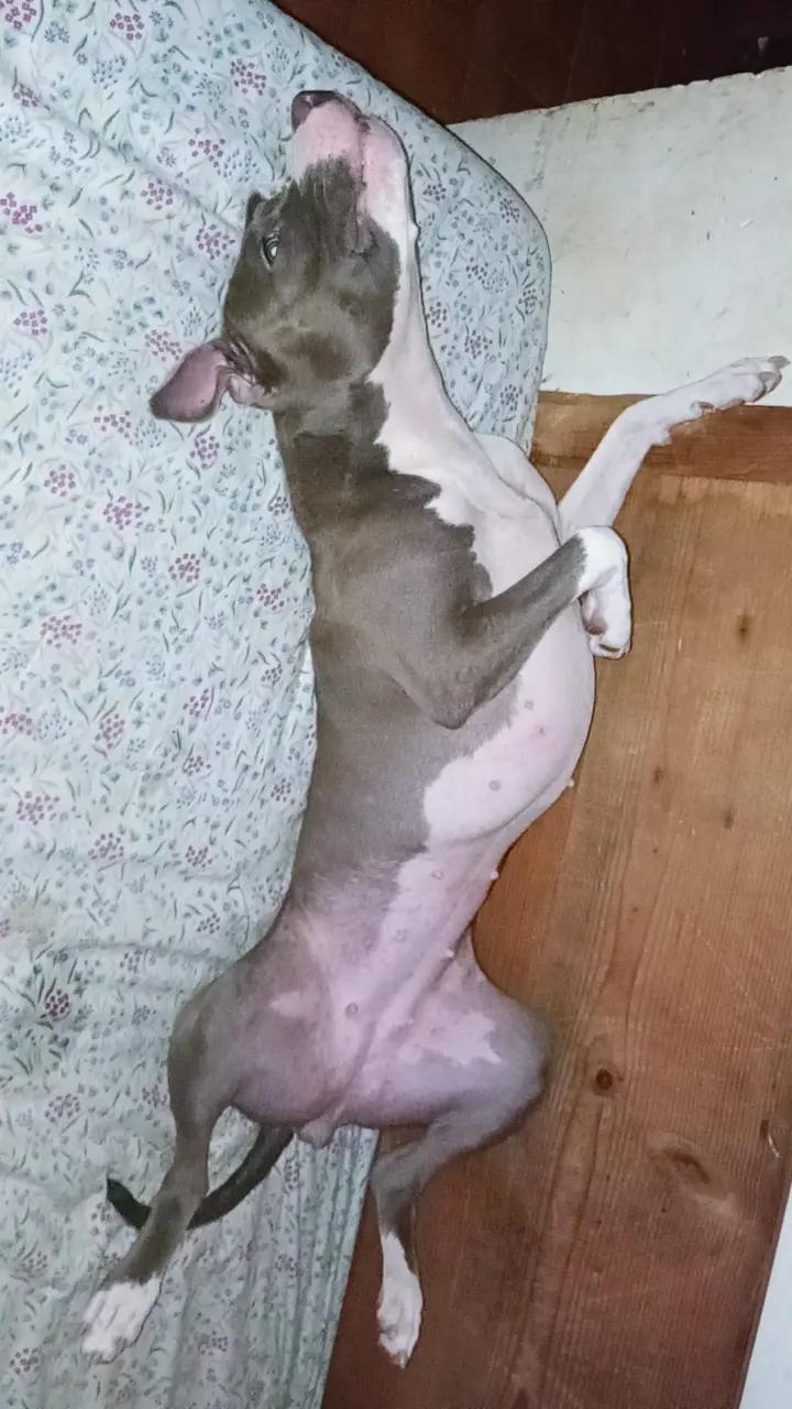 @La NaNa
