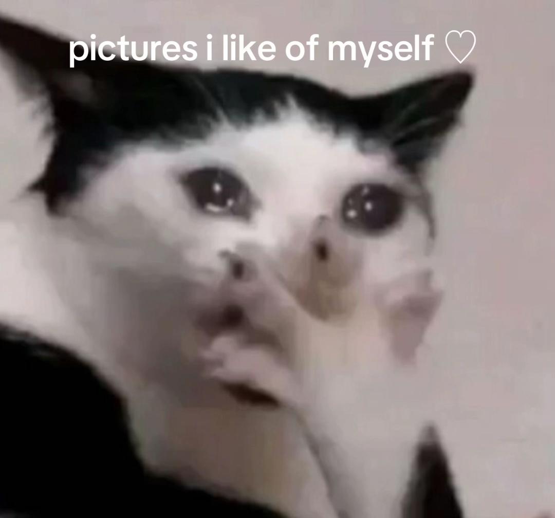 @⁺˚⋆｡&deg;✩ 𝚖𝚒𝚜𝚜𝚢 ✩&deg;｡⋆˚⁺