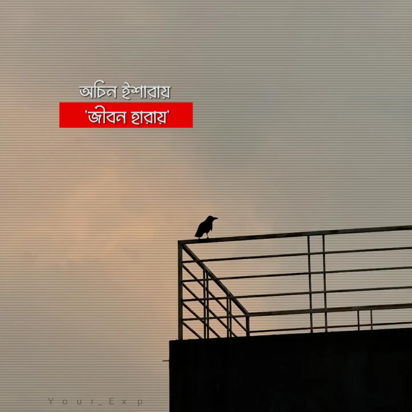 @Exᴘ ʀᴀꜰɪ _ 🧬