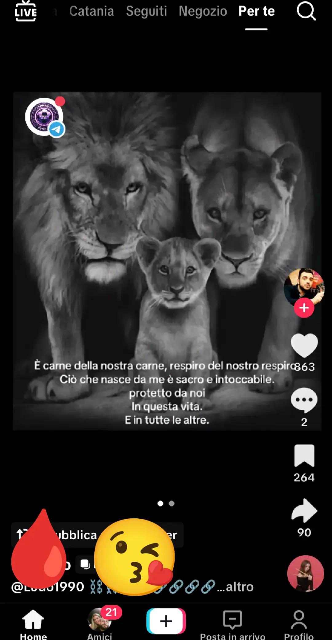 @Dario Petralia