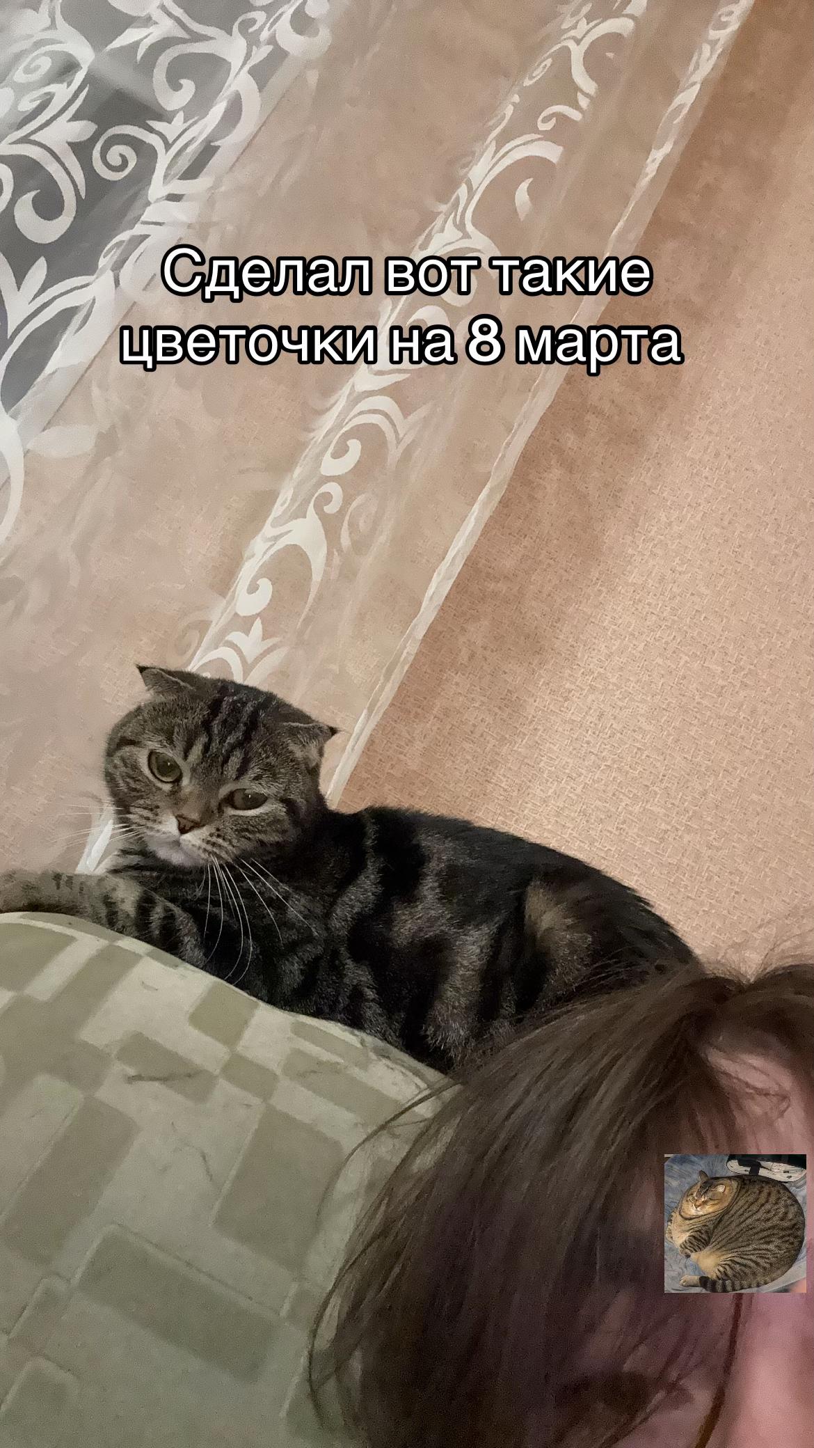@kos1124