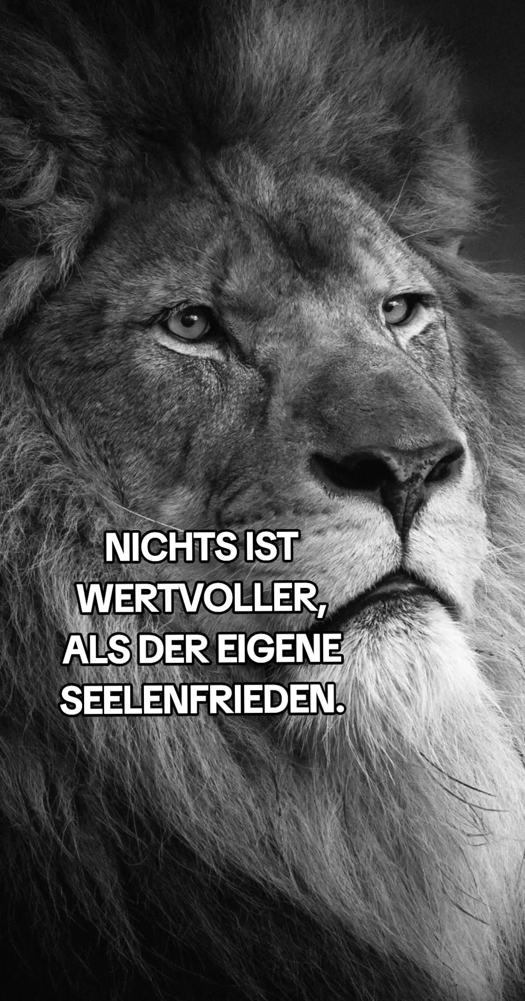 @𝕷𝖎𝖔𝖓-𝖌𝖎𝖗𝖑 🦁