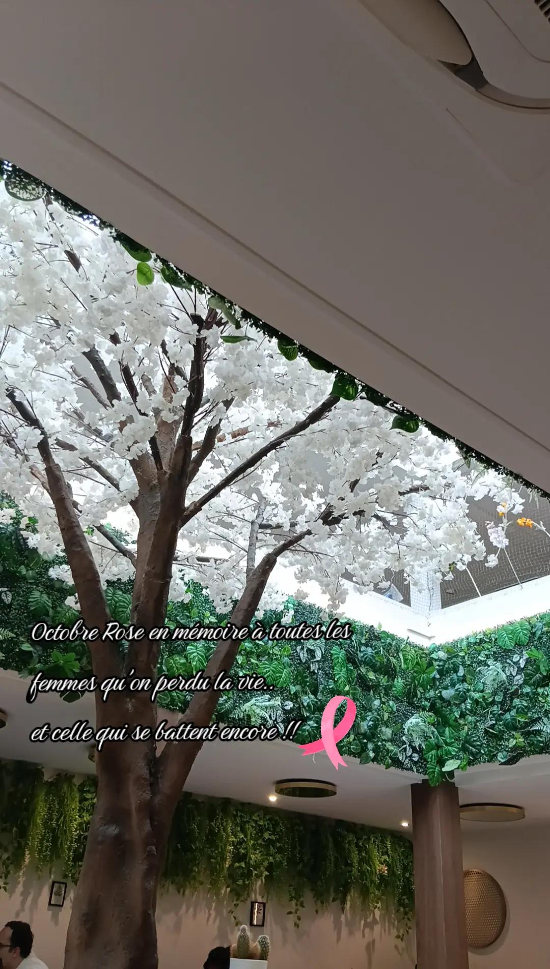 @โโฆ๐๐ฟ๐ถโฆโ๐งธ
