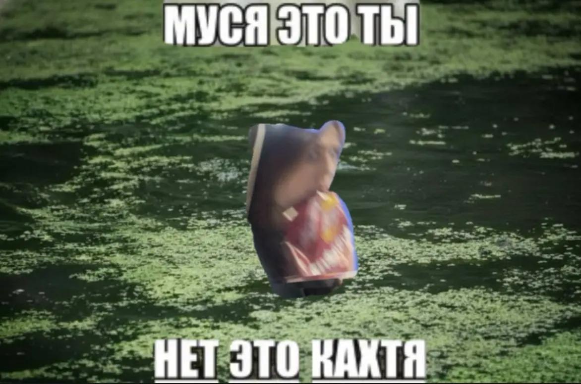 @катятя